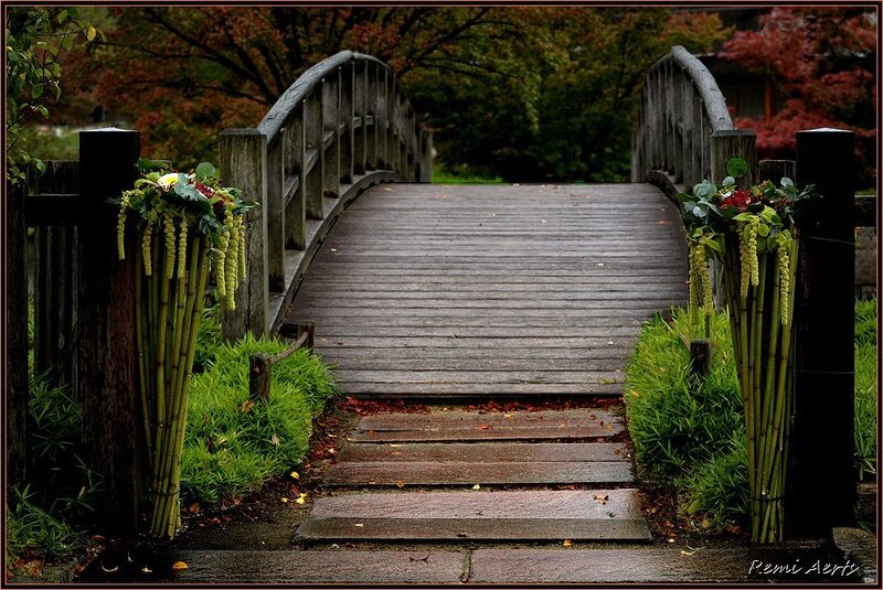Wooden Bridge in Garden — Green