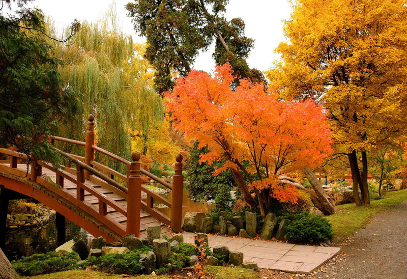 Wooden Bridge in Garden — Orange, Serene
