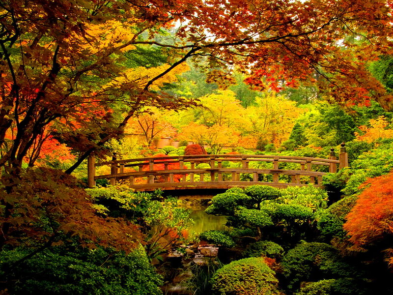 Wooden Bridge in Garden — Orange