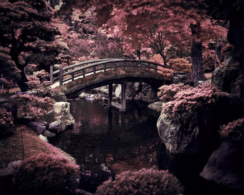 Wooden Bridge in Garden — Pink