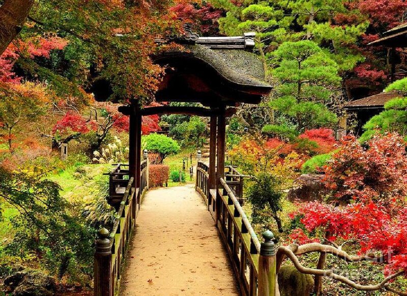 Wooden Bridge in Garden — Red, Serene, Autumn, Photograph, Trees, Path
