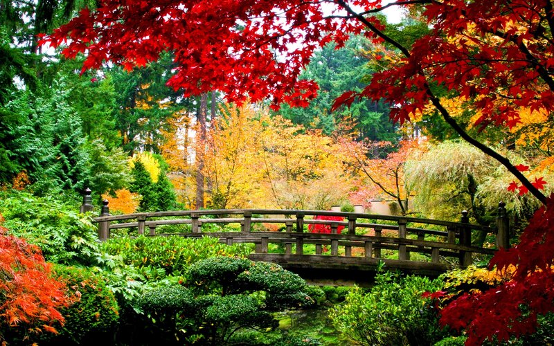 Wooden Bridge in Garden — Red, Serene, Autumn, Photograph, Trees, Stream