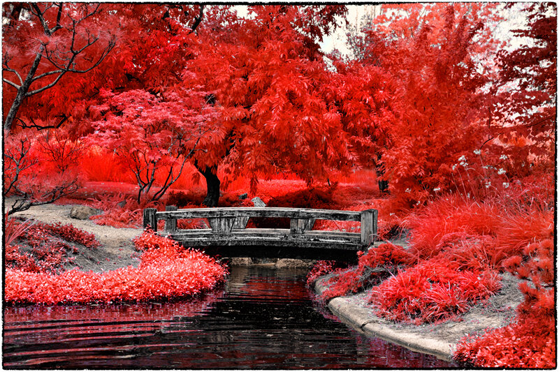 Wooden Bridge in Garden — Red, Serene, Photograph