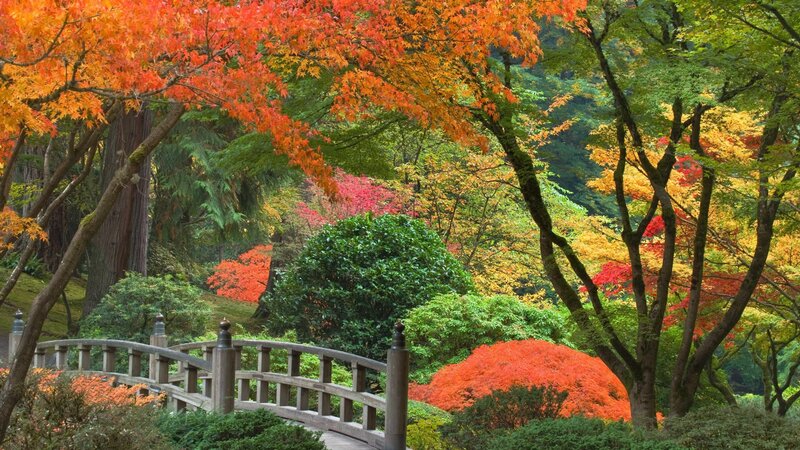 Wooden Bridge in Garden — Red, Serene