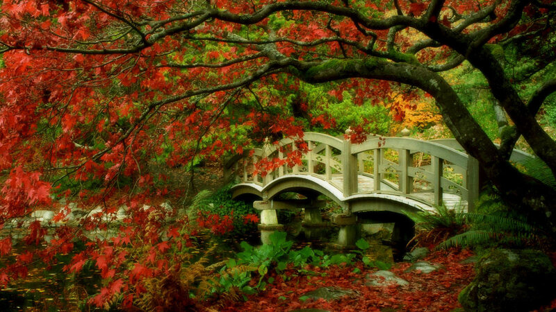 Wooden Bridge in Garden — Red