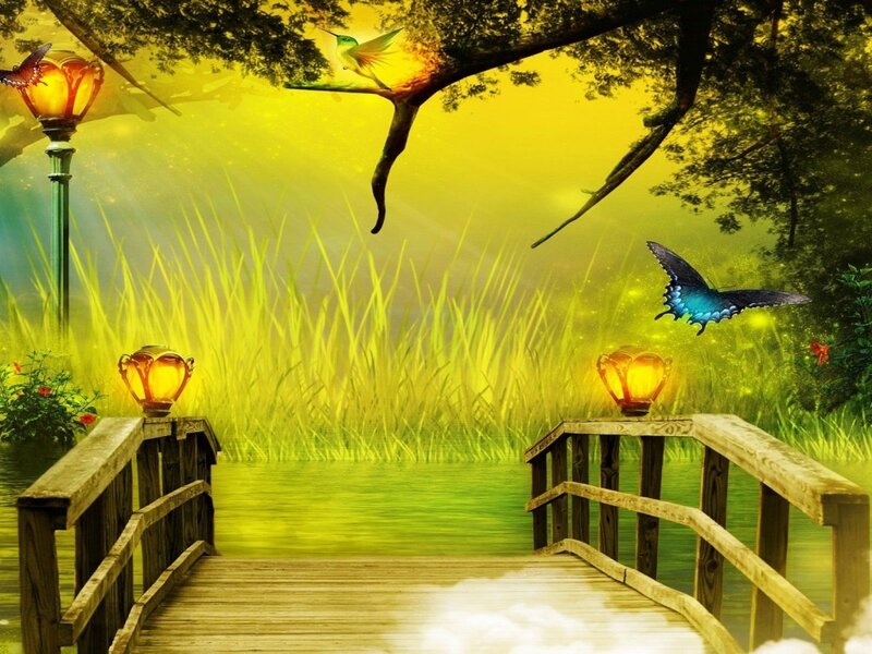 Wooden Bridge in Garden — Yellow, Serene, Afternoon
