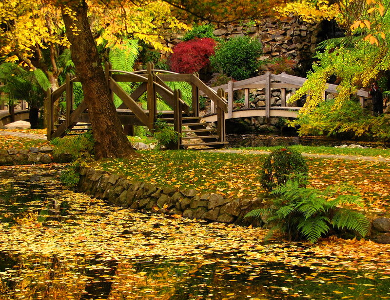 Wooden Bridge in Garden — Yellow, Serene, Autumn