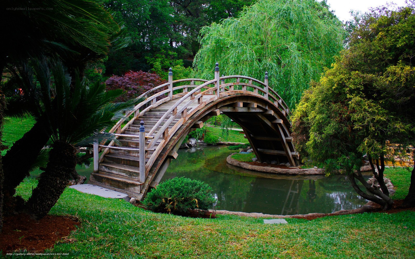 Wooden bridge in garden