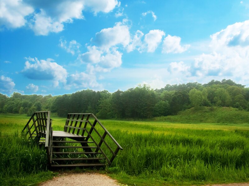 Wooden bridge in green field