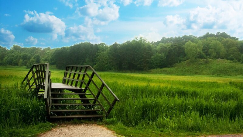 Wooden bridge in green field