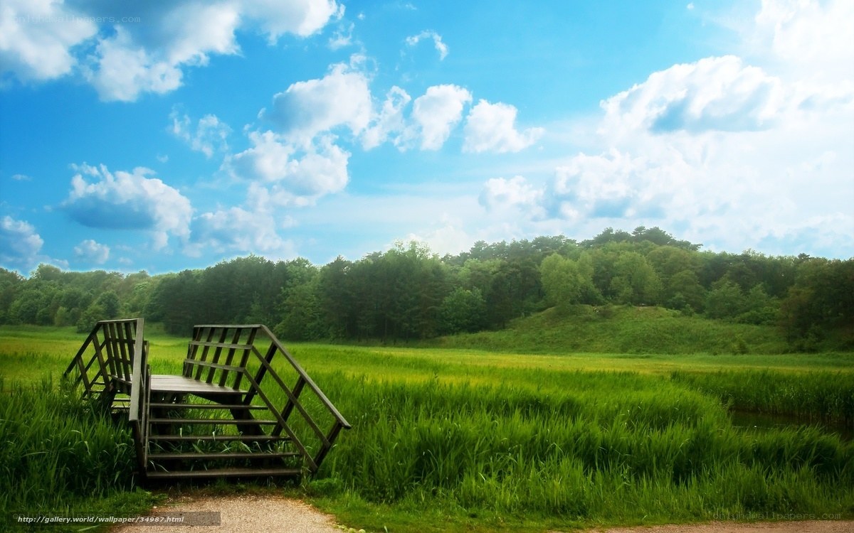 Wooden bridge in green field