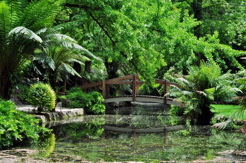 Wooden bridge in lush garden