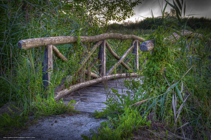 Wooden Bridge in Marsh — Green, Dramatic