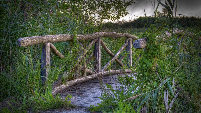 Wooden Bridge in Marsh — Green