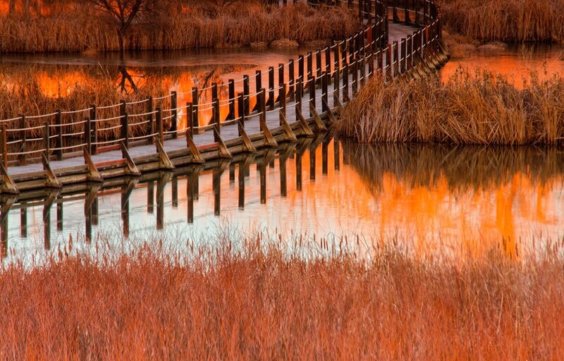 Wooden Bridge in Marsh — Orange, Serene