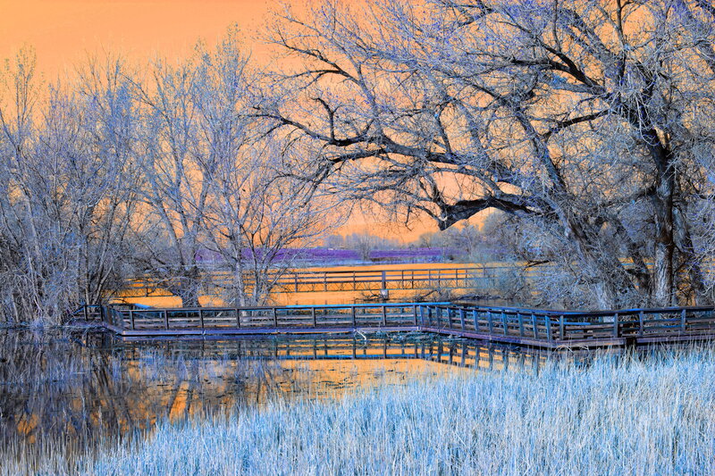 Wooden Bridge in Marsh — Orange
