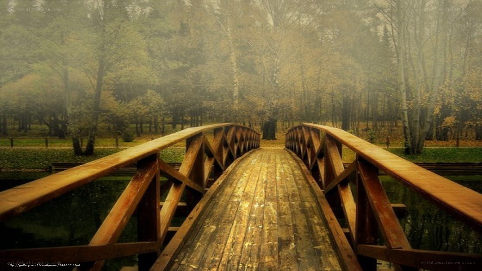 Wooden bridge in misty forest