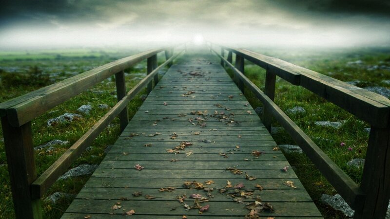Wooden bridge in misty landscape