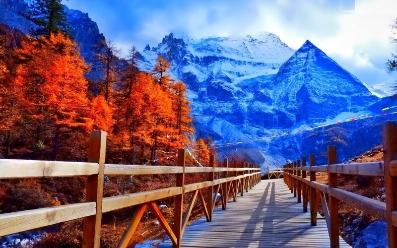 Wooden Bridge in Mountains — Blue, Serene