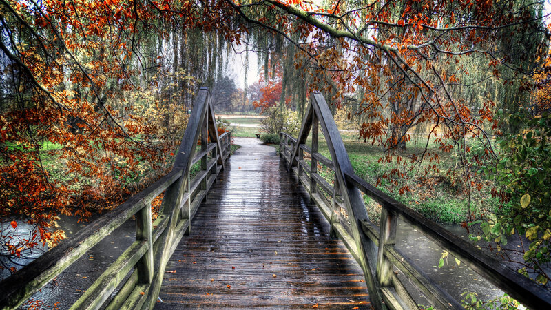 Wooden Bridge in Park — Brown, Serene