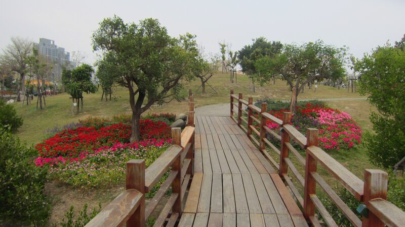 Wooden Bridge in Park — Green, Calm