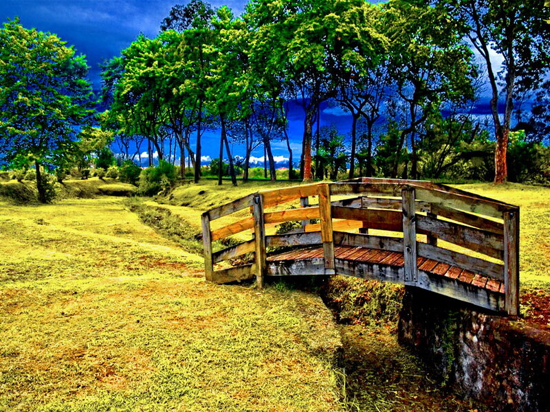 Wooden Bridge in Park — Green, Dramatic