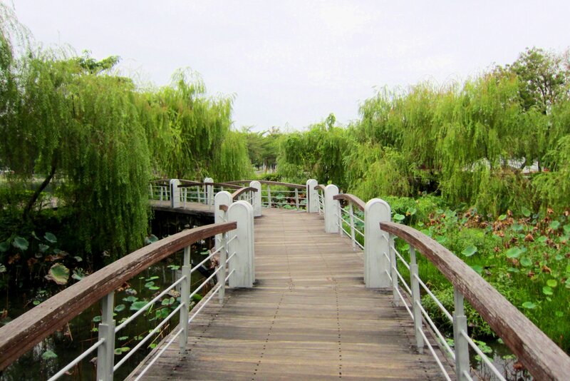 Wooden Bridge in Park — Green, Serene, Afternoon, Photograph