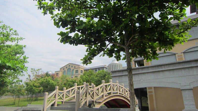 Wooden Bridge in Park — Green, Serene, Afternoon, Photograph, Tree