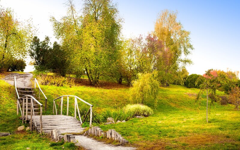 Wooden Bridge in Park — Green, Serene, Autumn, Photograph, Trees