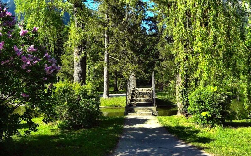 Wooden Bridge in Park — Green