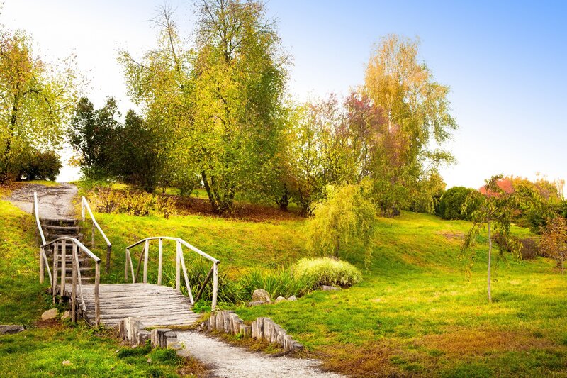 Wooden Bridge in Park — Serene