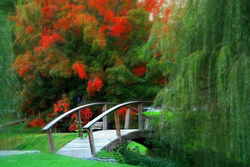 Wooden Bridge in Park