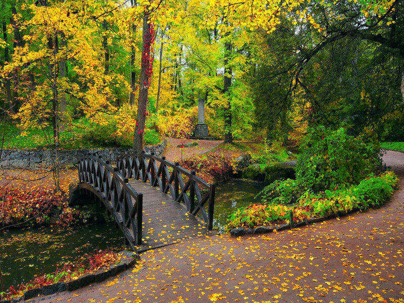 Wooden Bridge in Park — Yellow
