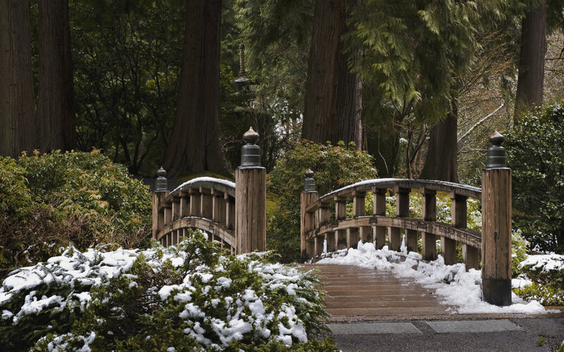 Wooden Bridge in Snow — Green