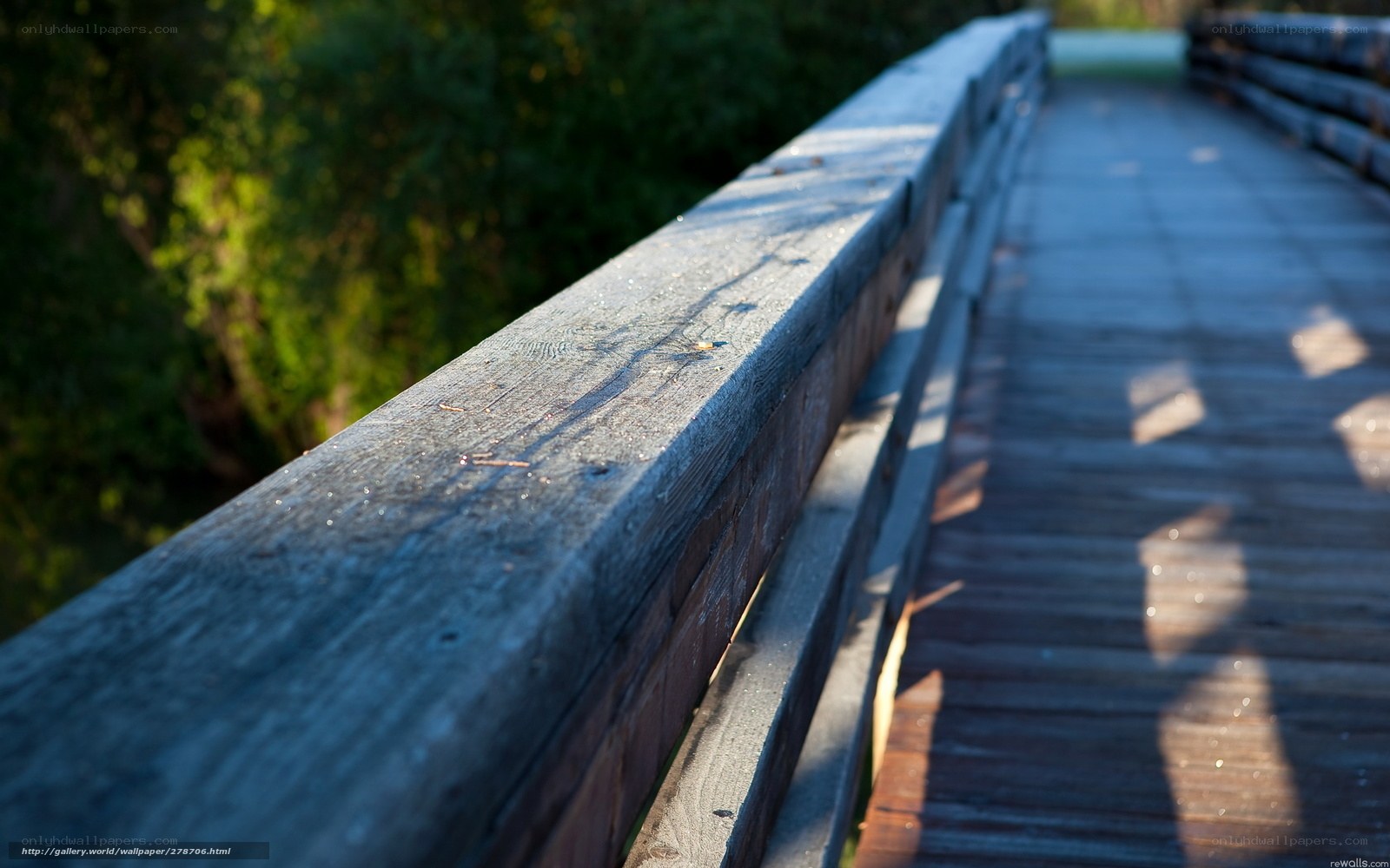 Wooden bridge in sunlight