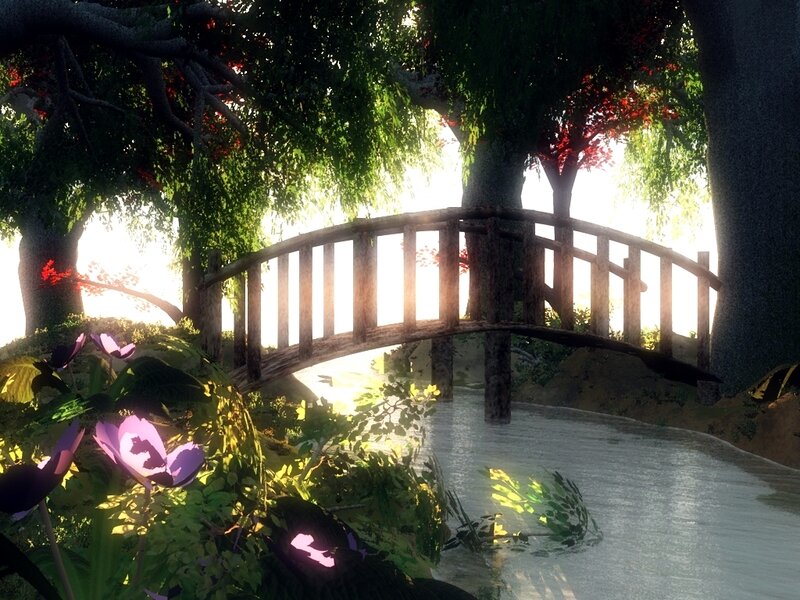 Wooden bridge in sunlit forest