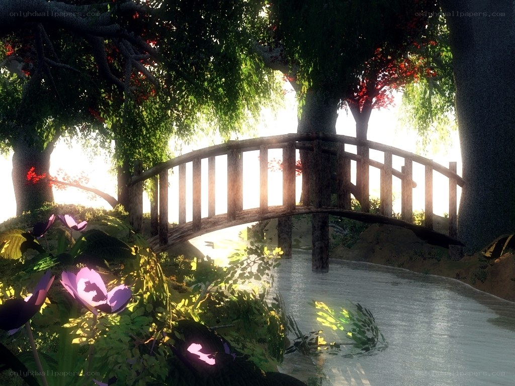 Wooden bridge in sunlit forest