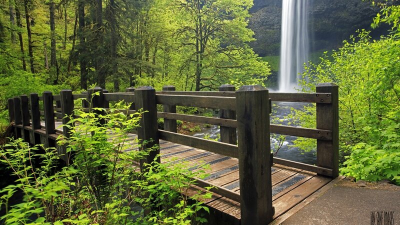 Wooden Bridge Near Waterfall — Green, Serene, Morning