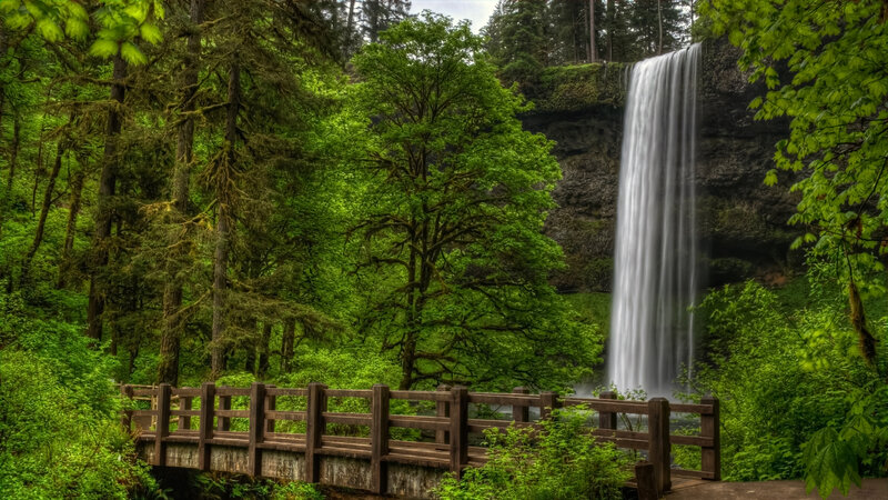 Wooden Bridge Near Waterfall — Green, Serene