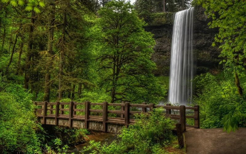Wooden Bridge Near Waterfall — Green