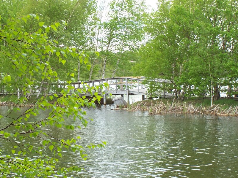 Wooden bridge over a calm lake