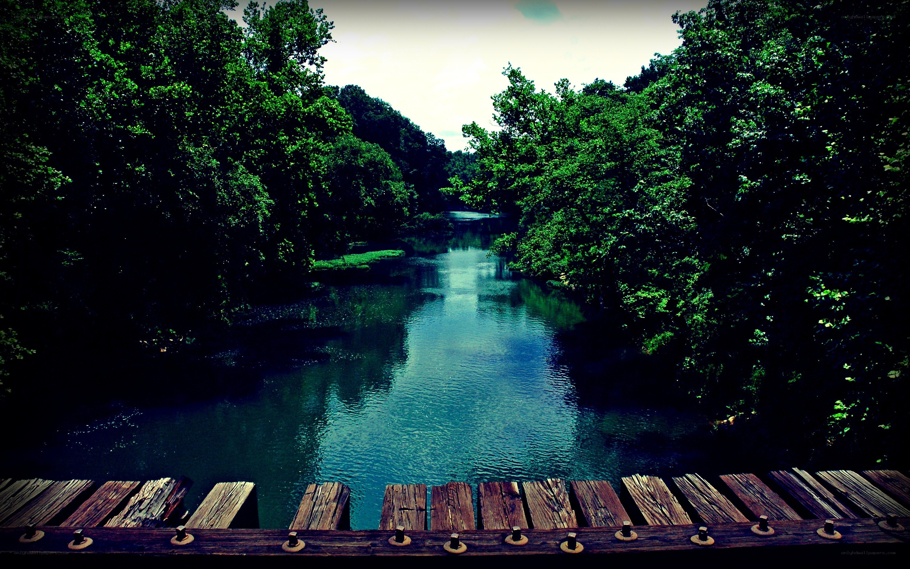Wooden bridge over a forest river