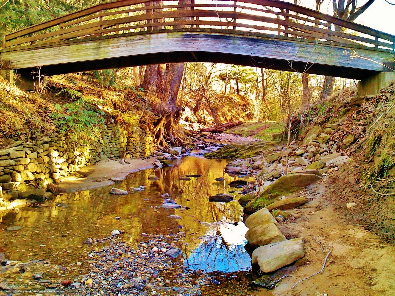 Wooden bridge over a forest stream