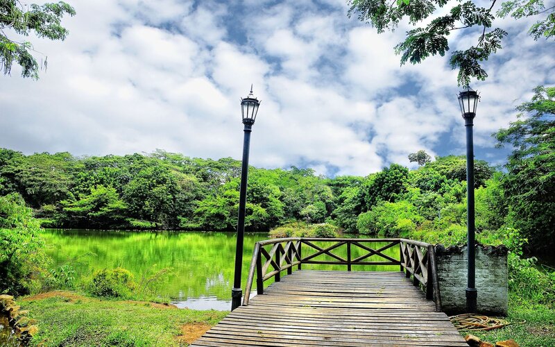 Wooden bridge over a green lake