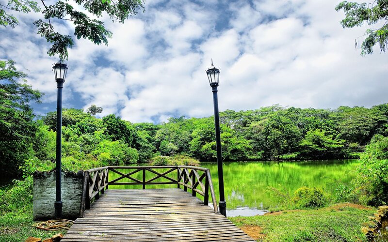 Wooden bridge over a green lake