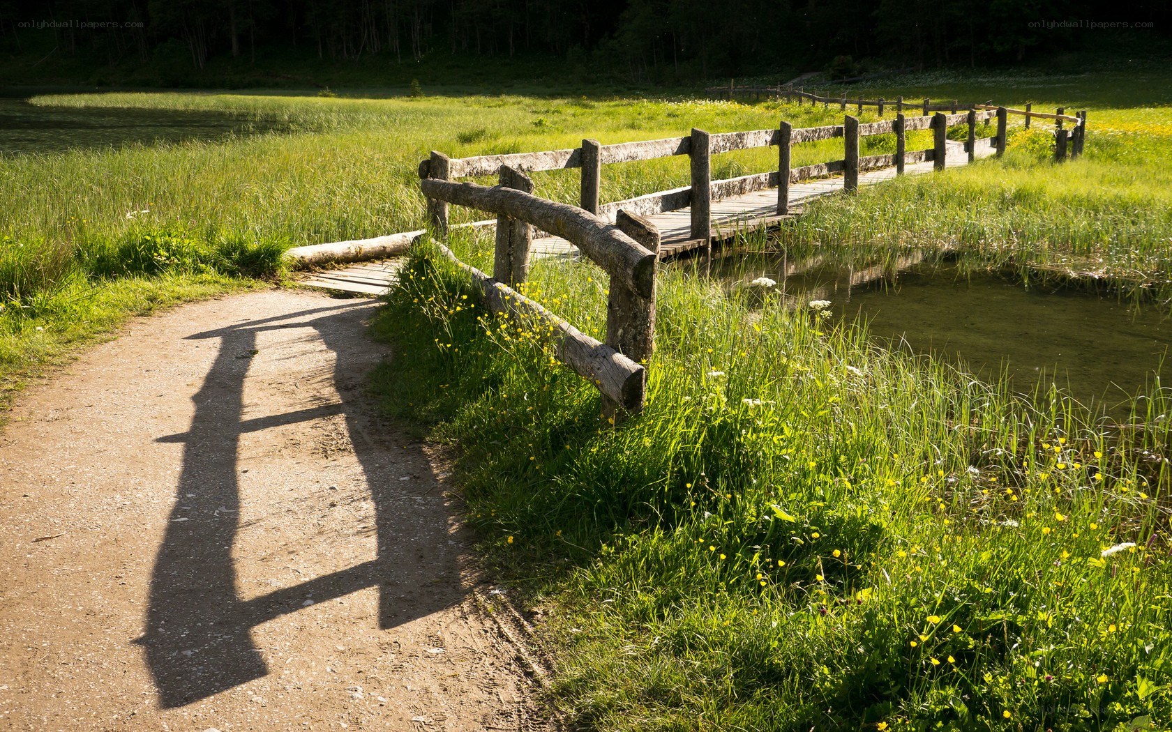 Wooden bridge over a pond
