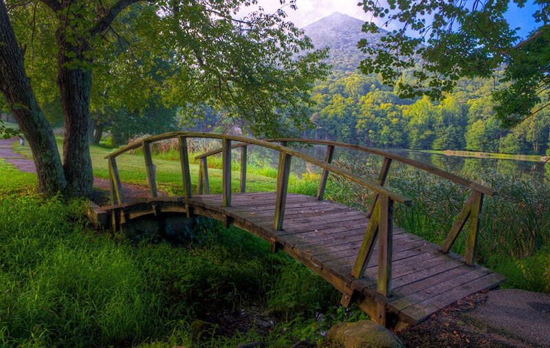 Wooden bridge over a pond