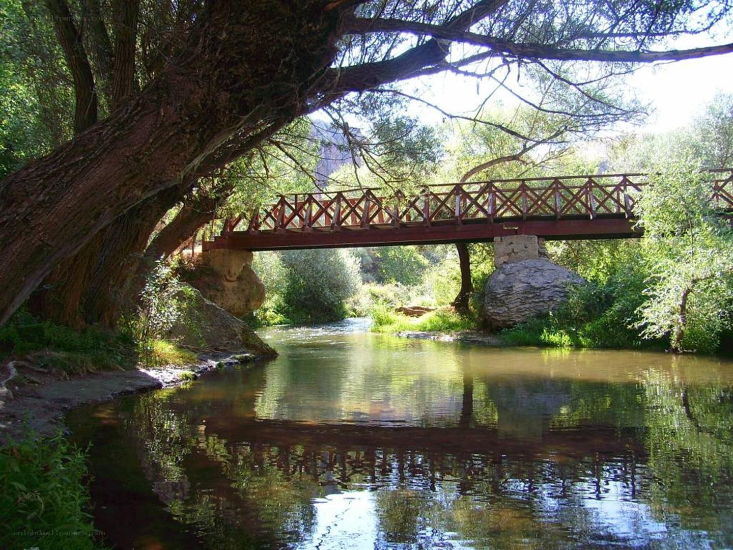 Wooden bridge over a river
