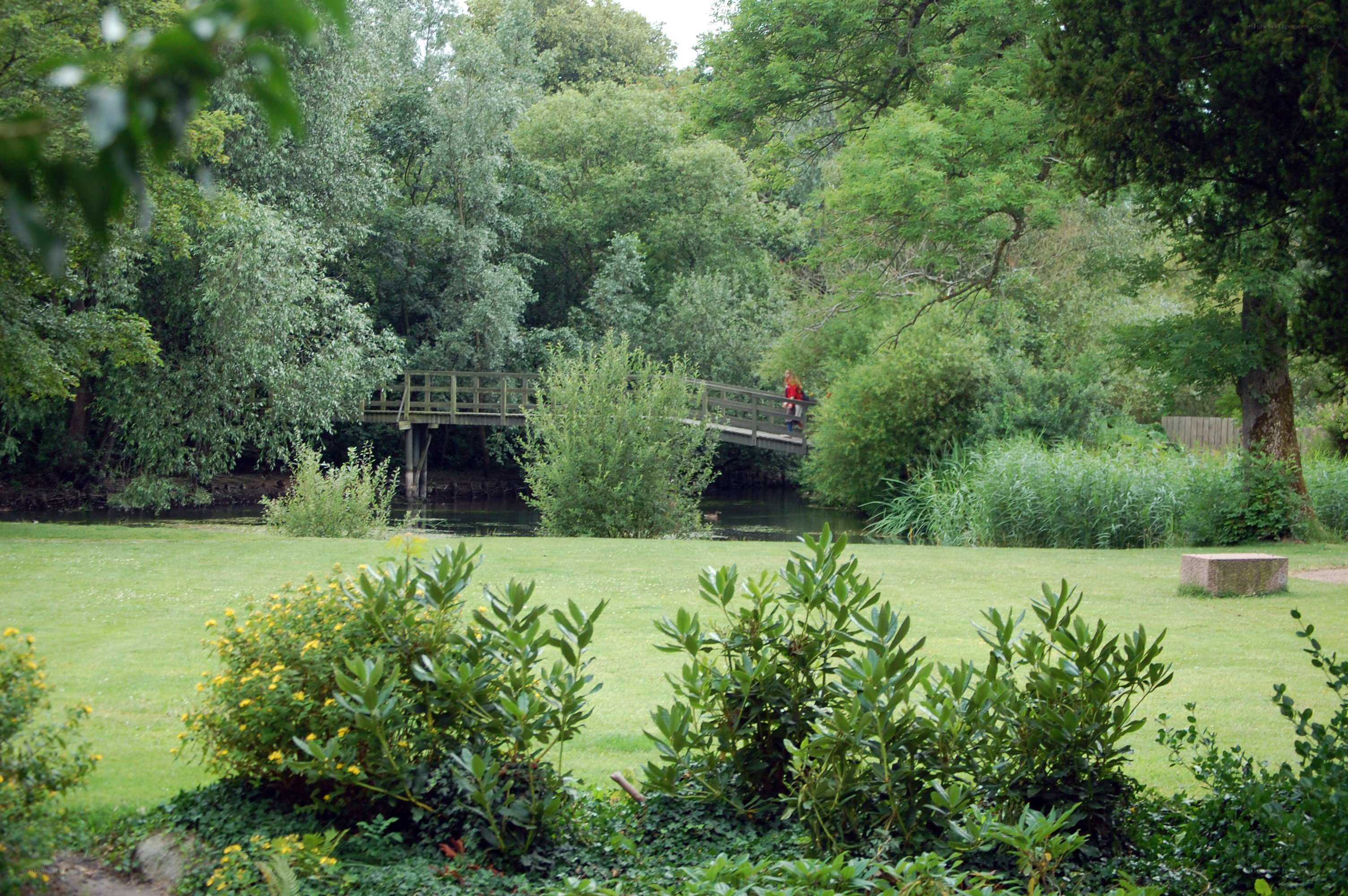 Wooden bridge over a river