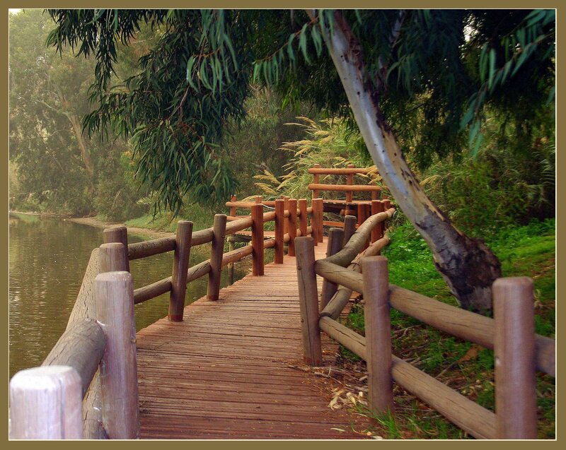 Wooden bridge over a river